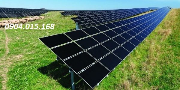 Tấm pin năng lượng mặt trời màng mỏng