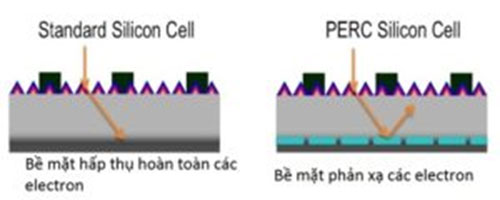 Công nghệ perc ứng dụng trong sản xuất điện năng lượng mặt trời